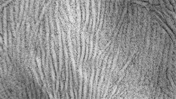 Temperature and Annealing effect on the Phase Composition of HDPE